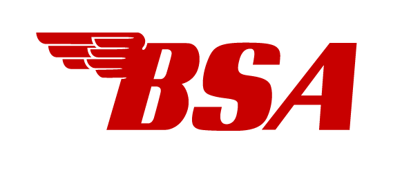 /files/0_BSA.png
