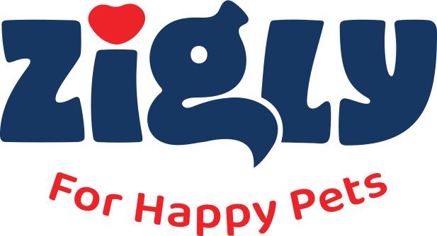 Zigly celebrated 'International Happy Pets Day'on 4th Aug Pan-India